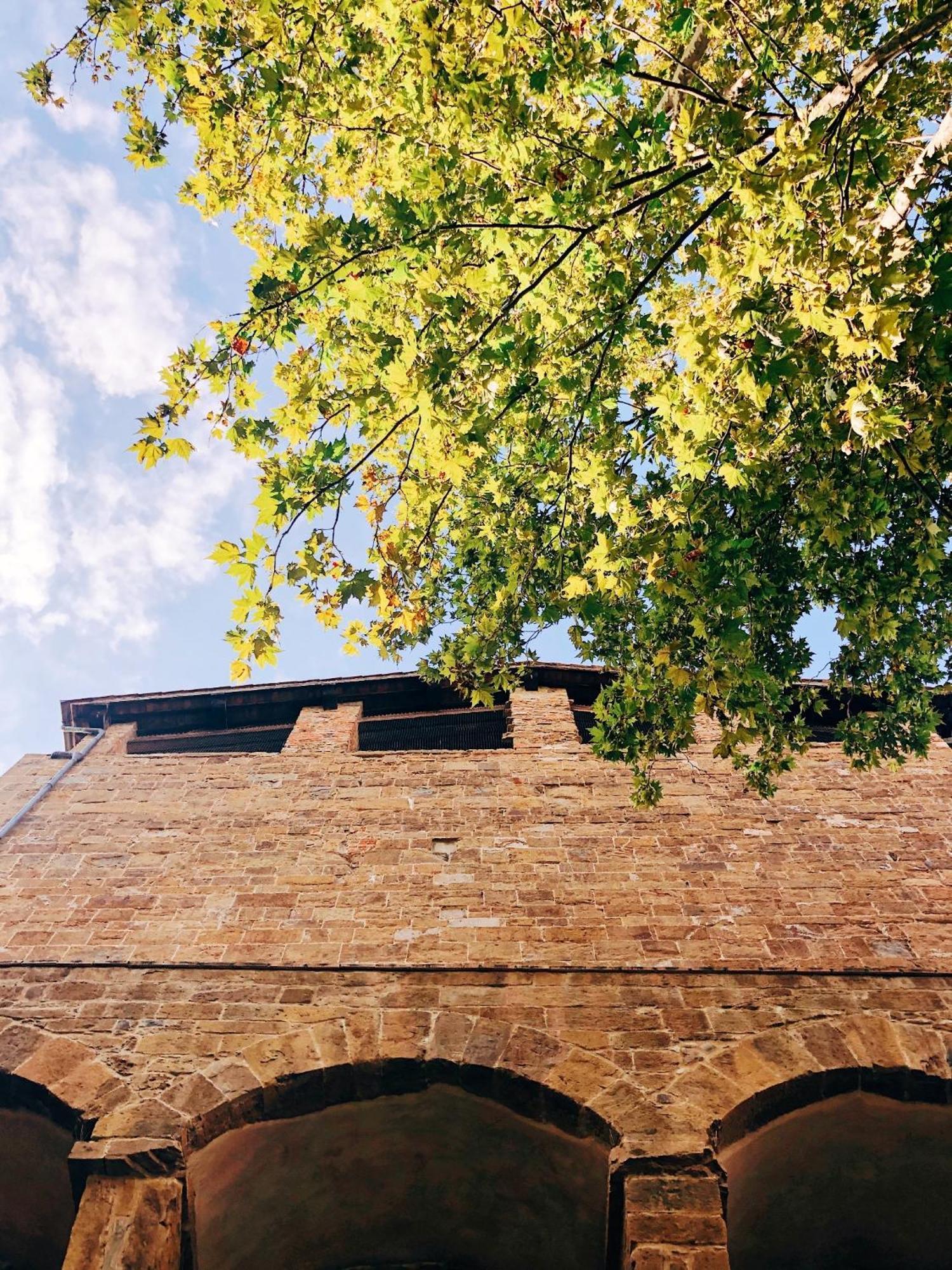 Appartamento D'Arte, L'Oasi Firenze Esterno foto
